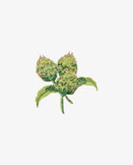 Artichoke Napkin - Home Decor Decals - Alsan's Home